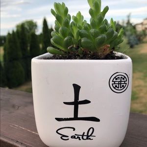 Meet your Posher, Pauline